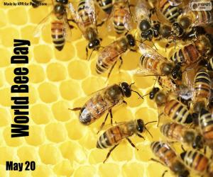 Puzzle Παγκόσμια Ημέρα Μέλισσας